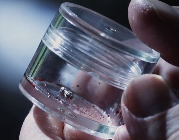 File:LPW Microchip Implant.jpg