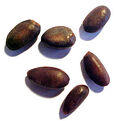 AppleSeeds