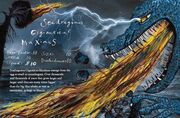 Seadragonus Giganticus Maximus Image.jpg