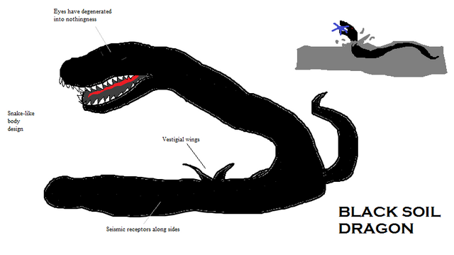 File:Black Soil Dragon.png