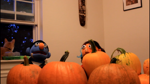 Pumpkinswhatnots
