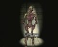Thumbnail for version as of 20:02, March 10, 2013
