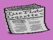 Newspaper