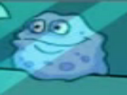 Sponge