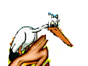Stork