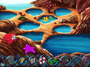 Tide Pools