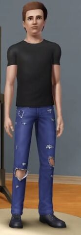 File:Peetasims.jpg