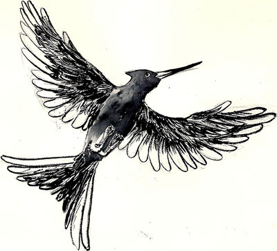 Mockingay dessin