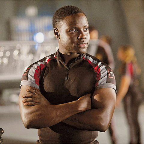 Fichier:Rue-and-thresh-the-hunger-games-29978336-500-500.png
