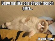 Buttercup1