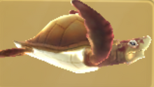 ILargeturtlemage