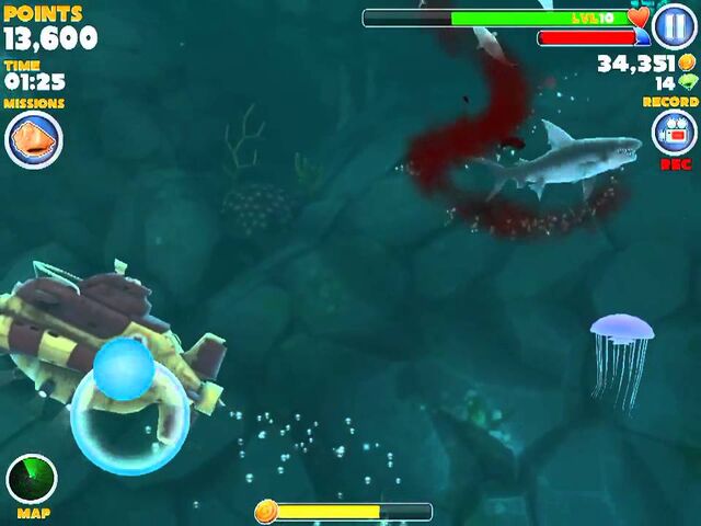 File:Jellyfish2.jpeg