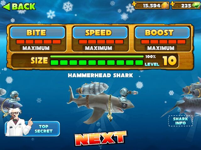 File:Hammerhead.jpg