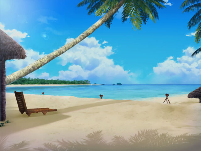 File:Turtle Bay Beach (Afternoon).jpg