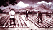Komugi family.jpg