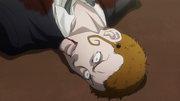 Tocino muerto.png