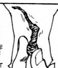 Madarite Leeches