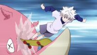 Killua kills a stamp.jpg