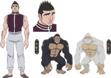 Goreinu G.I Design 2011.png