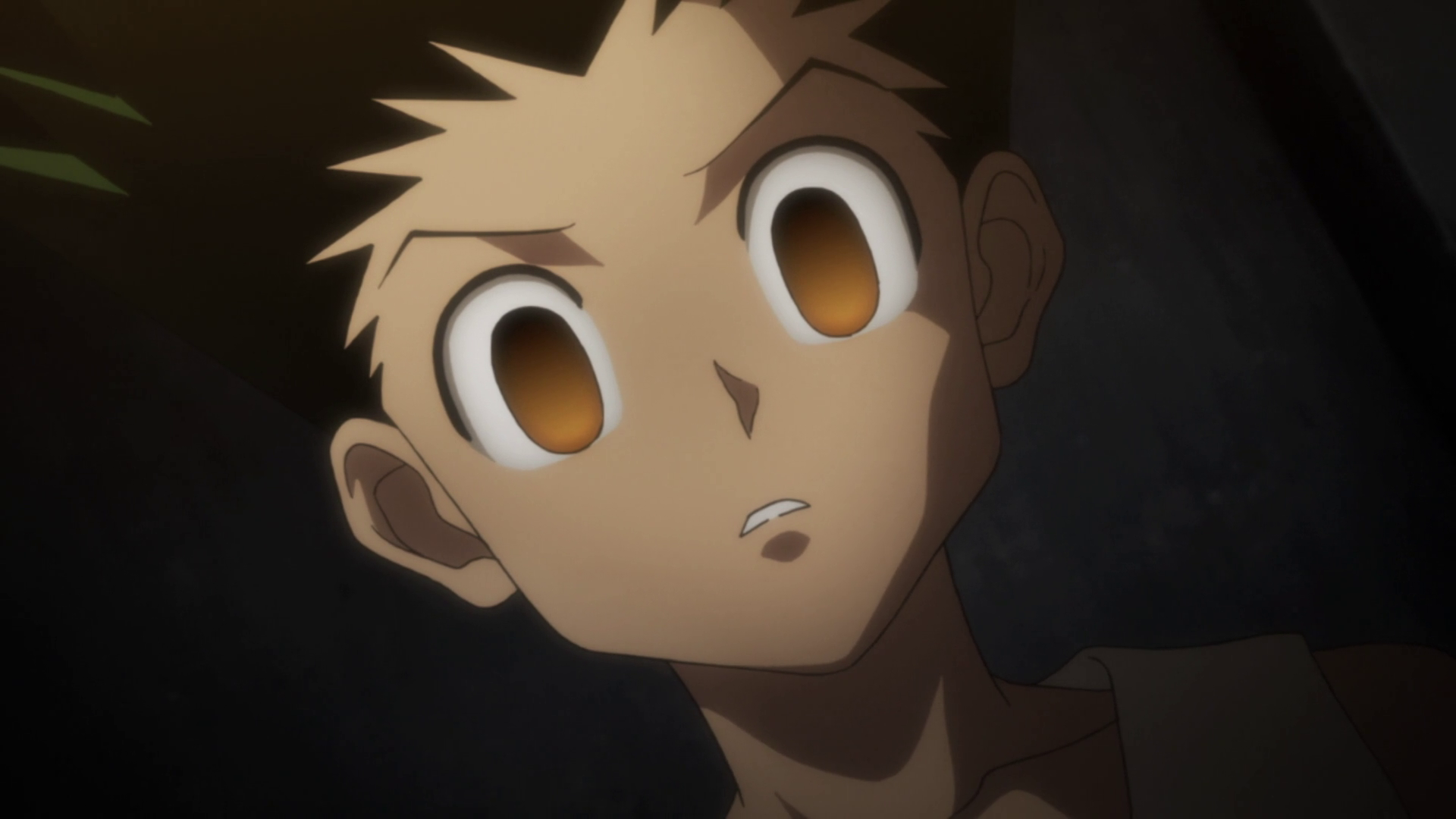 Image - Gon's eyes - 130.png | Hunterpedia | FANDOM powered by Wikia