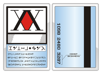 Gon's Licence.png