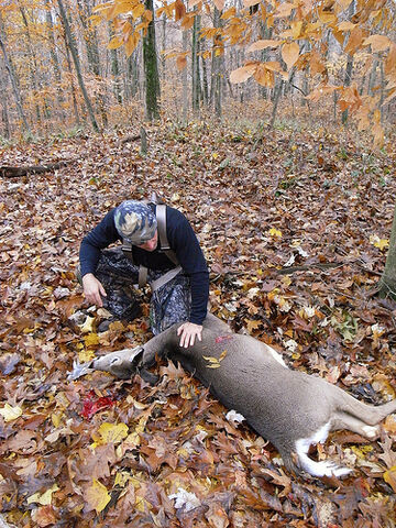 File:Deerhuntingwithbow.jpg