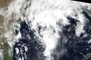 Tropical Depression Nine (2000)