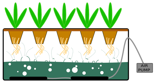 File:Aeroponic-Bubbler.png