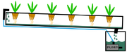 NFT Baskets