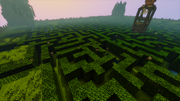 Spider Maze
