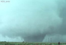 Shamrock Texas Tornado