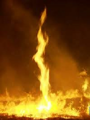 Firenado 8