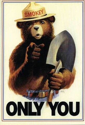 File:Smokey-the-Bear-Wildfires.jpg