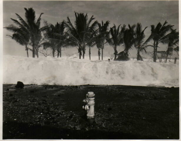 File:Trivinnia tsunami.jpg