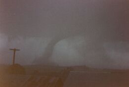 Bucca Tornado