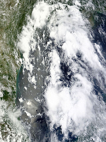 File:TD 2 jul 8 2010.jpg