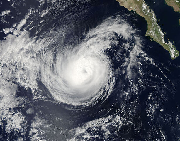 File:Rachel 2014.jpg