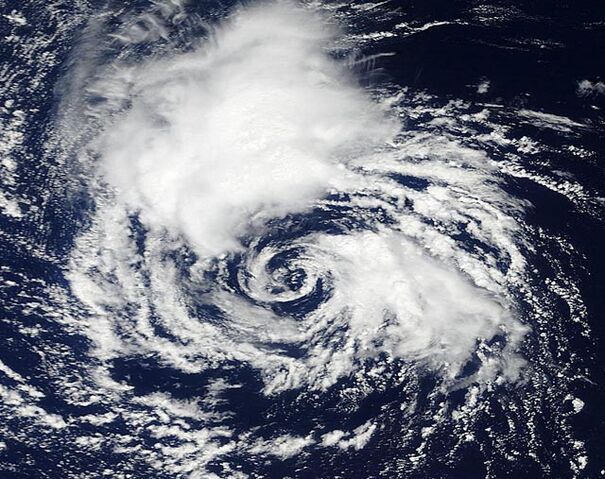 File:Invest 92L.jpg