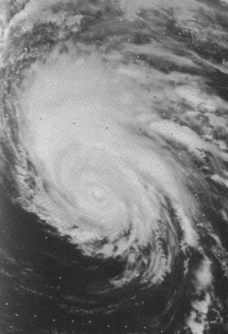 File:FlossieSep131978.gif