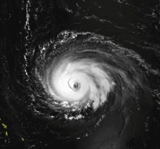 File:Iris1995.gif