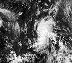 Gustav 1996 gibbsimage