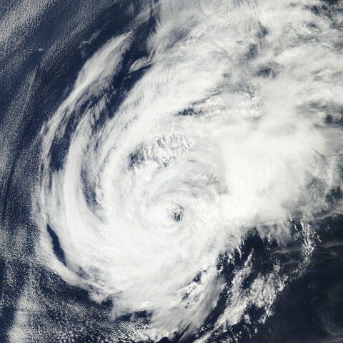 File:Sandy 2004.jpg