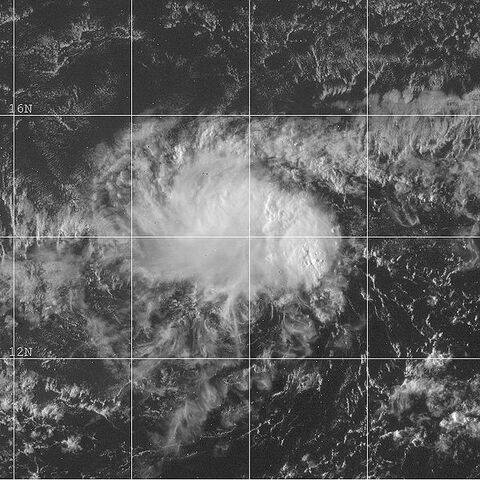 File:TD 1C 2001.jpg