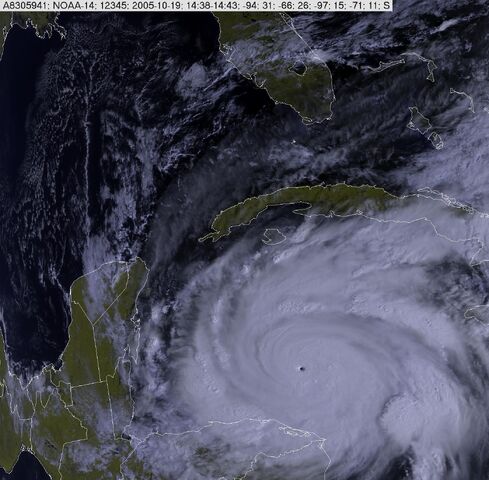 File:Wilma3.jpg