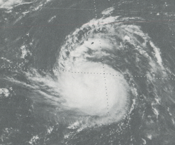 File:Gloriaseptember291976.gif