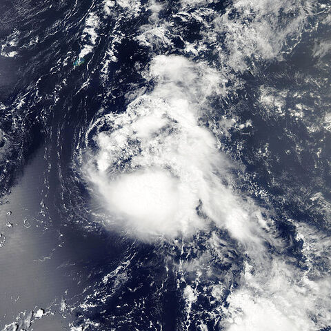 File:Gert Aug 14 2011 1735Z.jpg