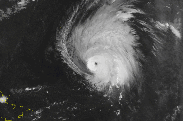 File:Erika-1997-pic.gif