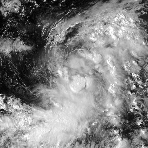 File:Td192005.jpg