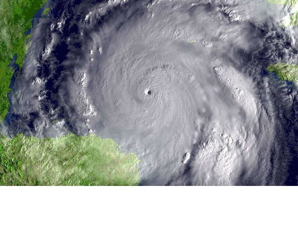 File:Wilma Rec Strength.png