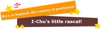 Leon banner
